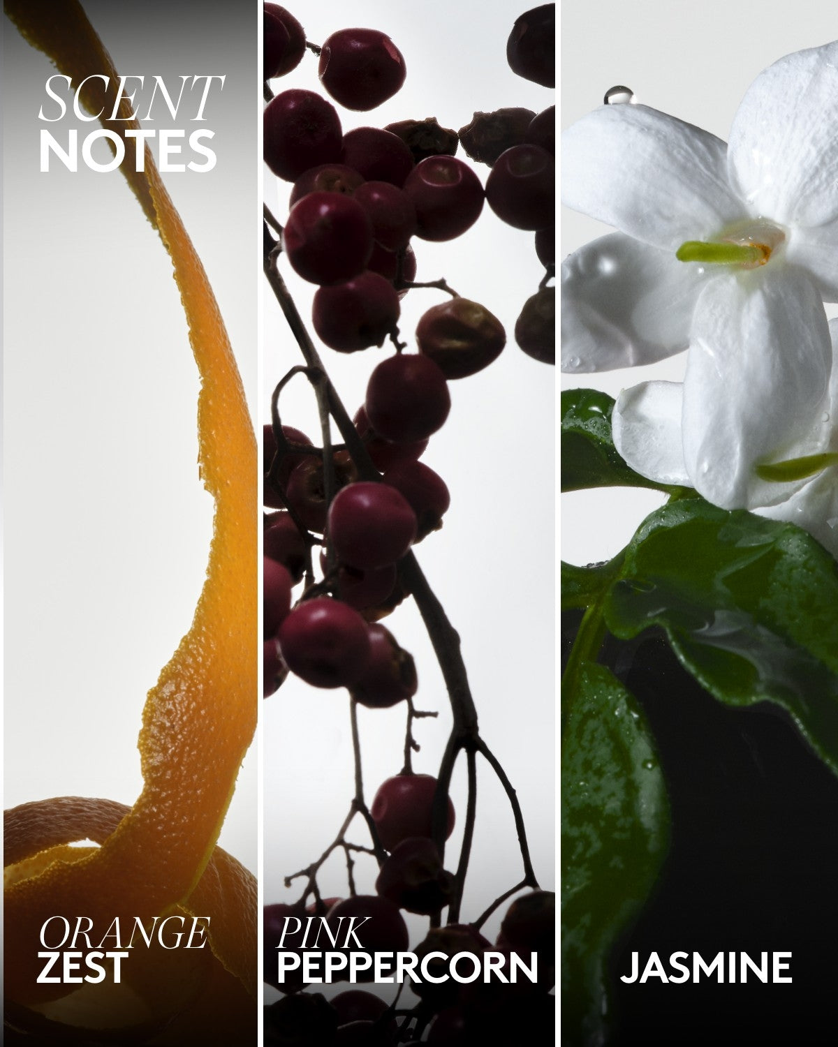 Rich Dip Bubble Bath ¡ª Hey, Bouquet