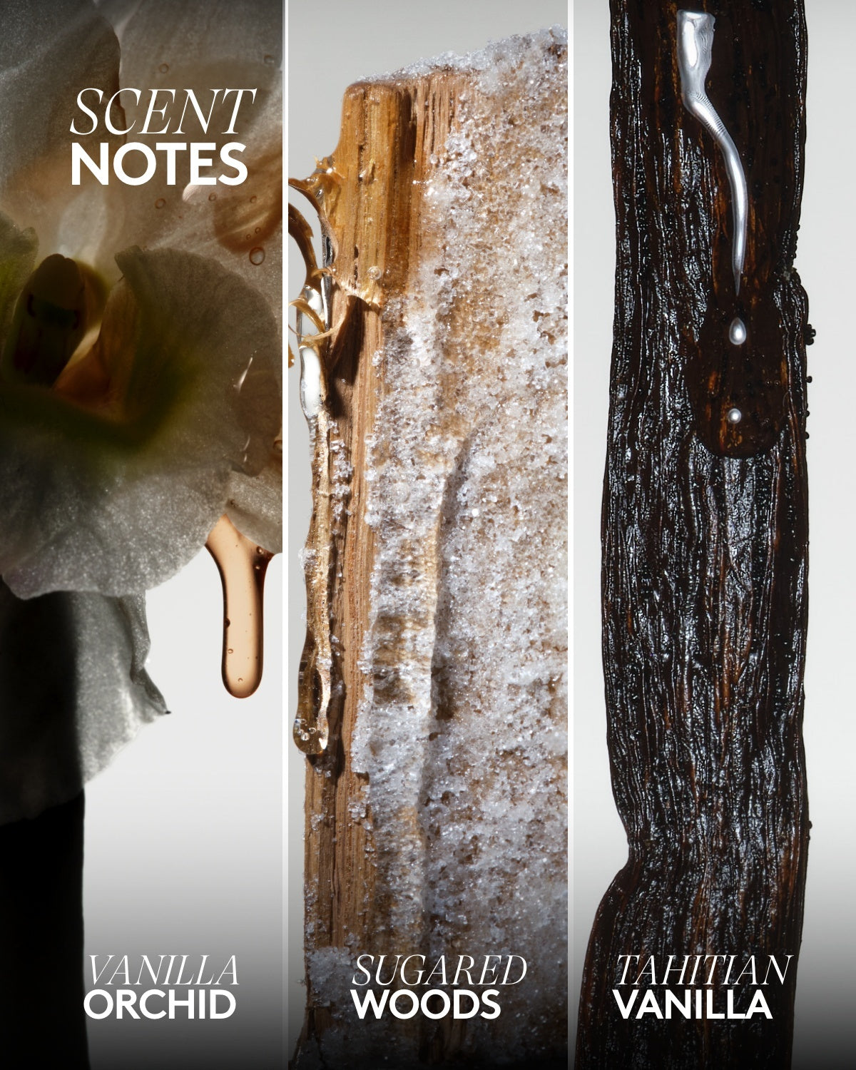 Rich Dip Bubble Bath ¡ª Vanilla Flowers